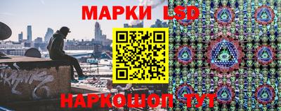 прущие грибы Будённовск