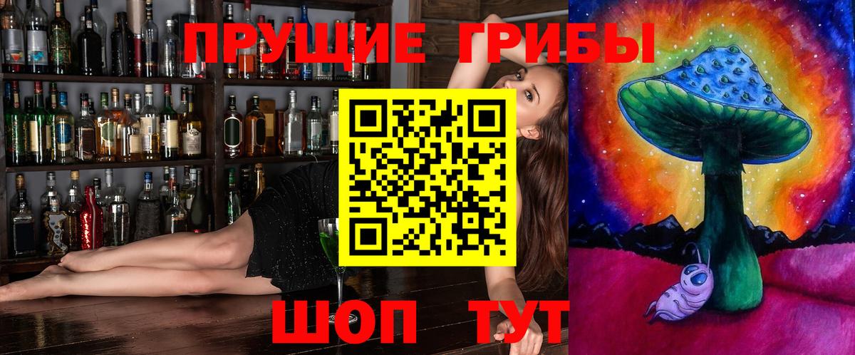 Искитим  Псилоцибиновые грибы Psilocybe  Вход с VPN  Галлюциногенные грибы ЛСД 
